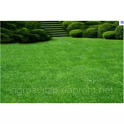Королевский газон - сверхкрасивый газон от производителя Германии