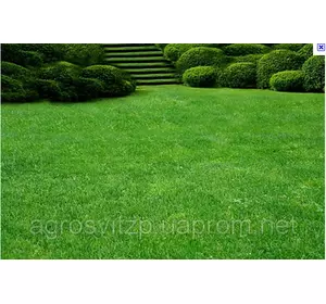 Королевский газон - сверхкрасивый газон от производителя Германии